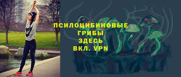 apvp Зеленодольск