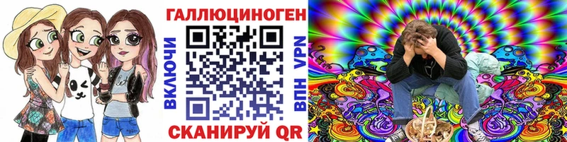 Купить закладки  Щёлково  Псилоцибиновые грибы Psilocybe 